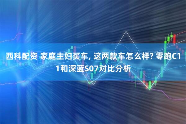 西科配资 家庭主妇买车, 这两款车怎么样? 零跑C11和深蓝S07对比分析
