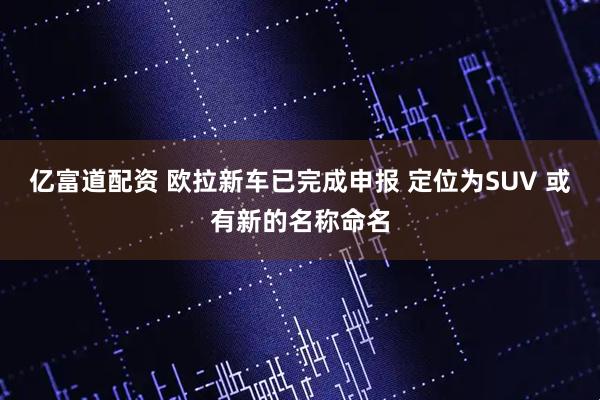 亿富道配资 欧拉新车已完成申报 定位为SUV 或有新的名称命名